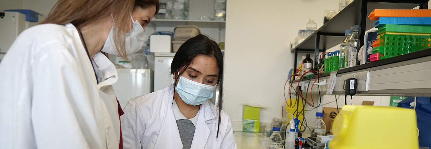 Untitled-2_0003_DSC09251