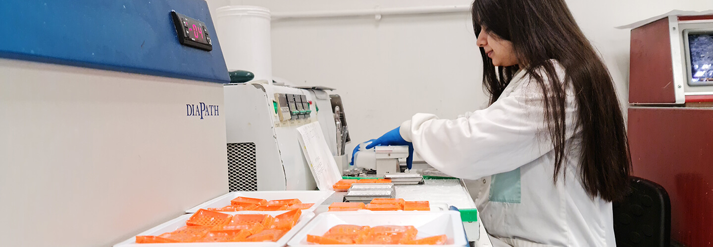 Untitled-2_0004_20220825_124104